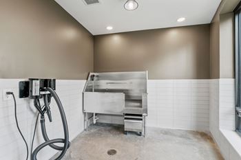 The pet spa and wash station at Lilia Apartments in Lilydale, MN 55118